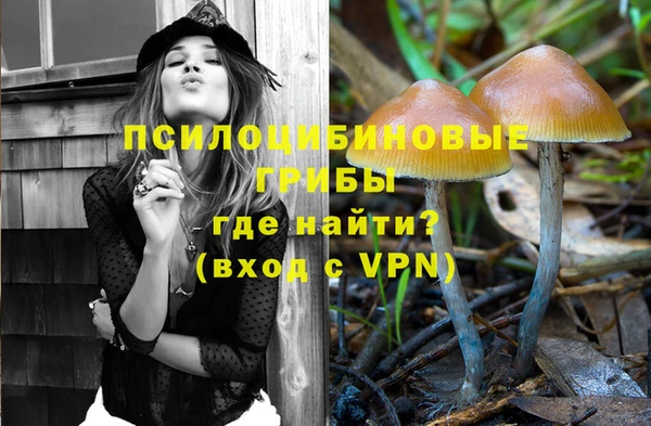 гидра Лагань